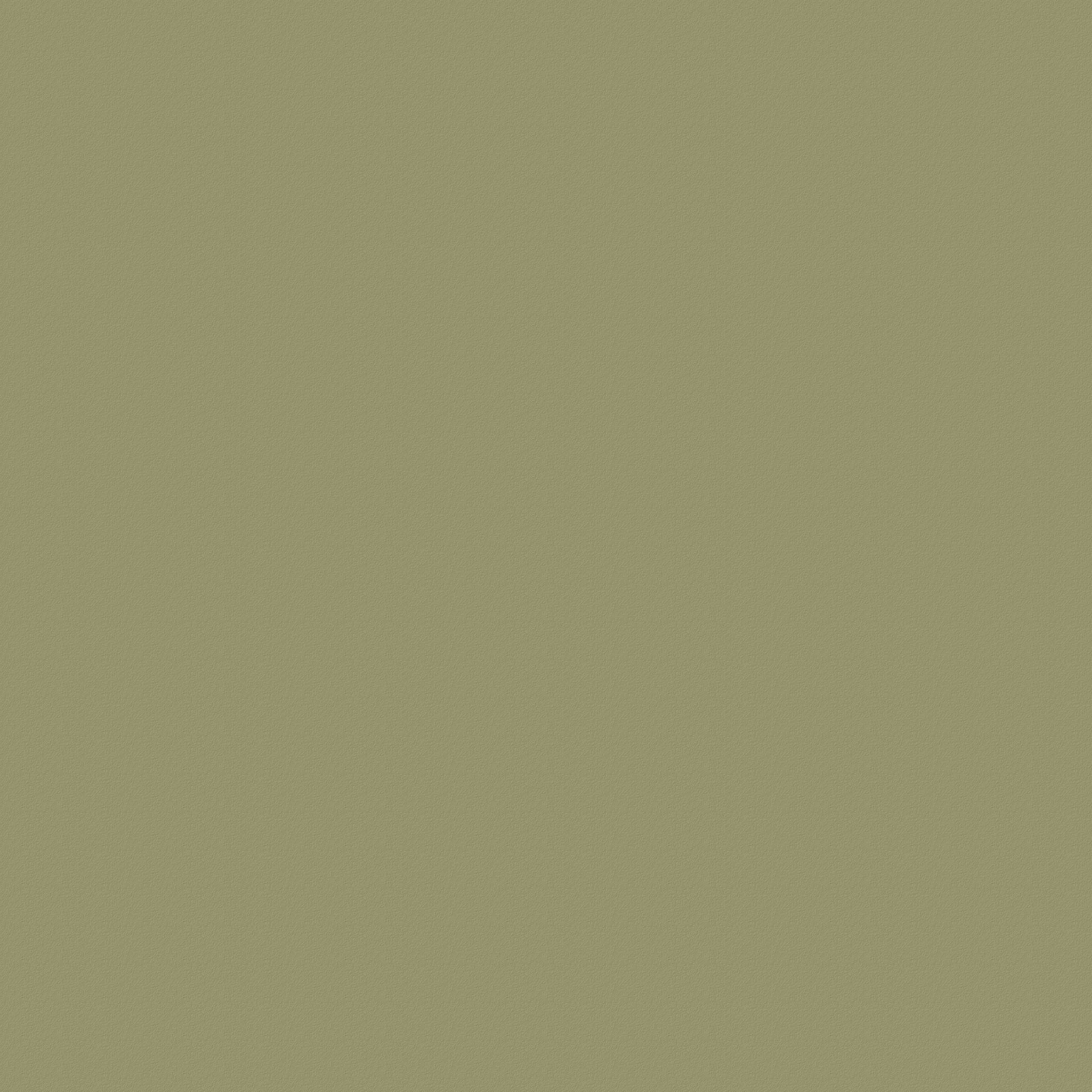 U4439 VL  Pistachio Green  果绿色