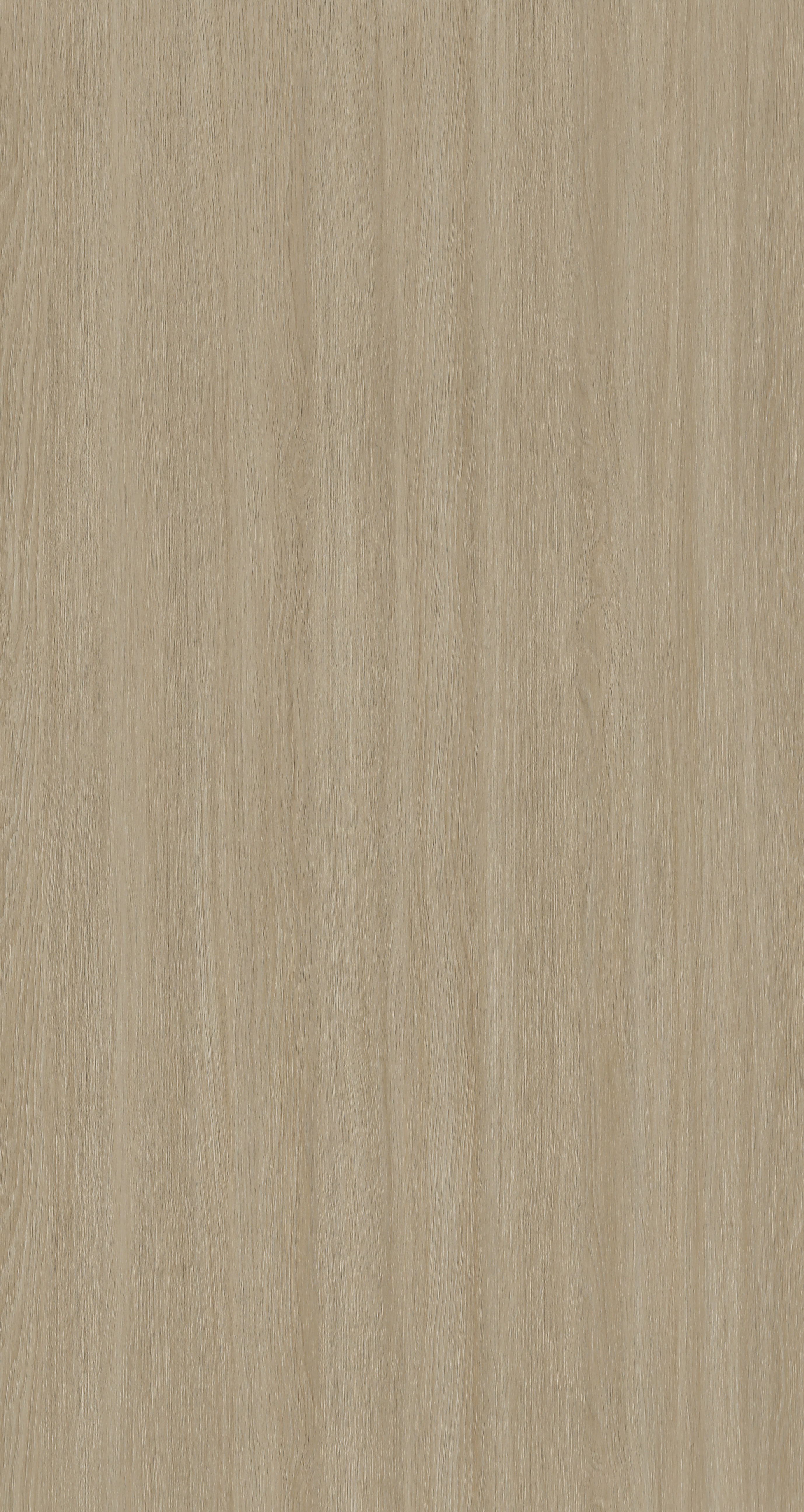 LZ738-1 浅吟秋渝